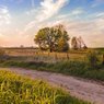 Farm Photo